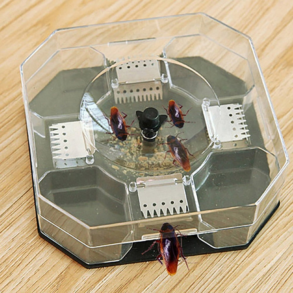 A clear plastic hexagonal trap with a dark gray base contains four brown cockroaches and bait powder on a wooden surface.