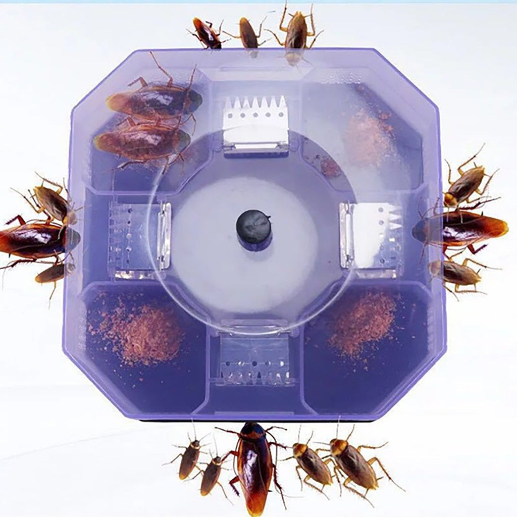 Numerous brown cockroaches surround and are inside a purple hexagonal trap containing bait powder, set against a light