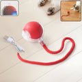 Rechargeable interactive cat toy ball with LED lights and detachable braided tail