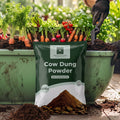 Organic cow dung powder 800g, natural soil improver and manure for plants (1 pc)