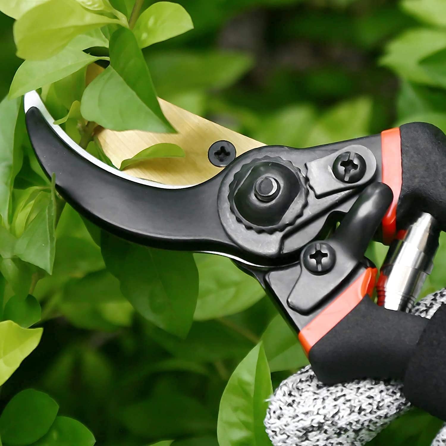 Garden Shears – Sharp Bypass Pruner for Plants | Tidy Roots