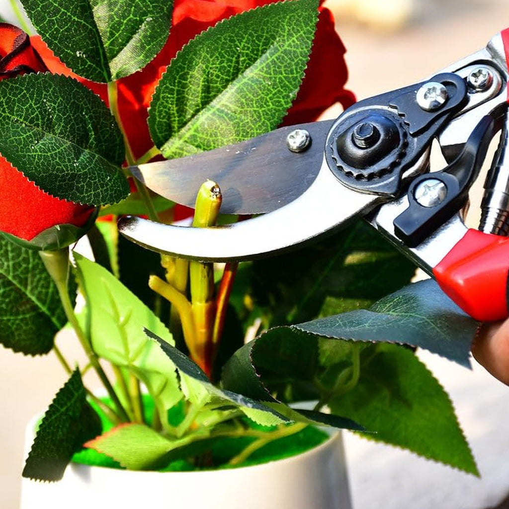 Garden Shears – Sharp Bypass Pruner for Plants | Tidy Roots