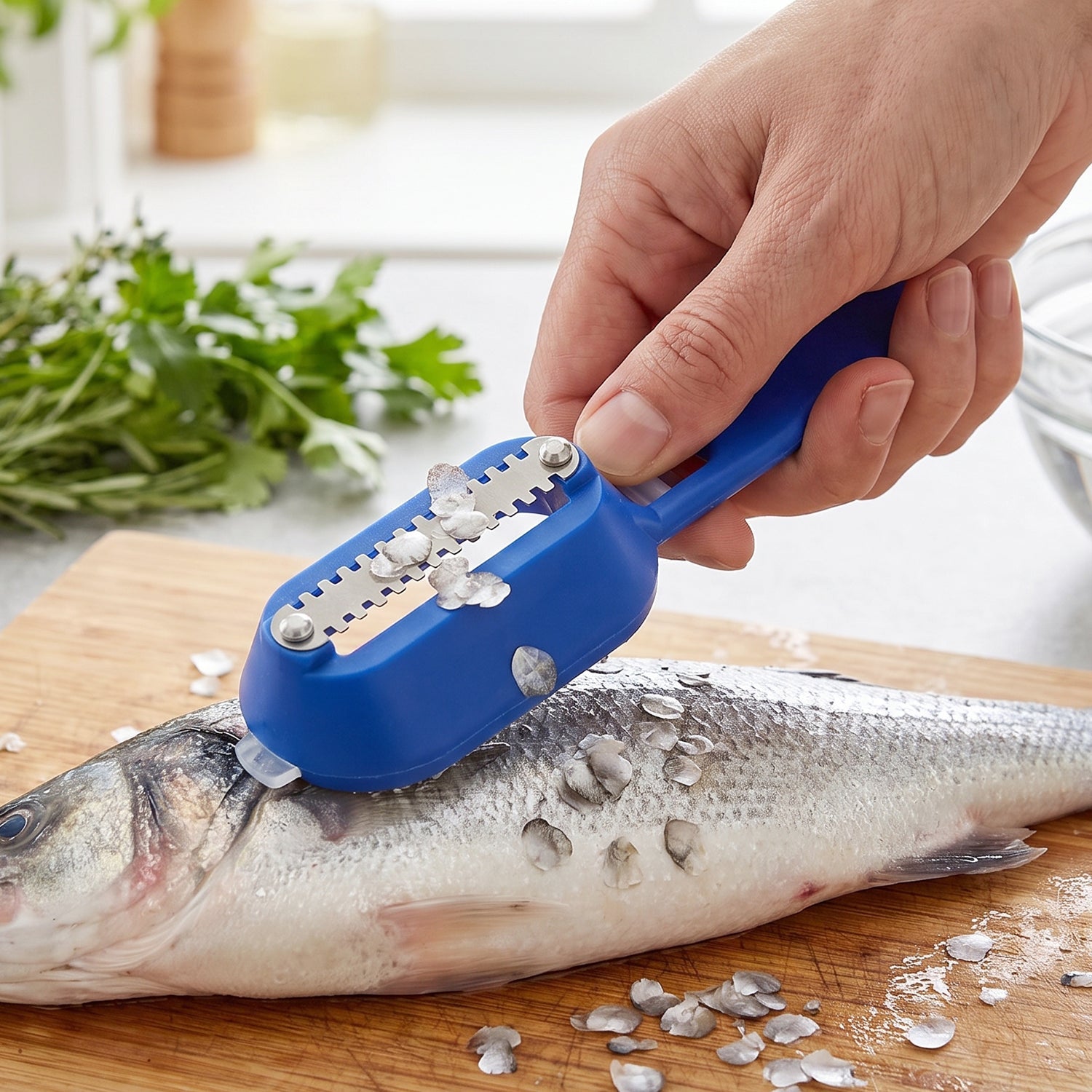 Easy grip fish scaler with removable lid for scale collection